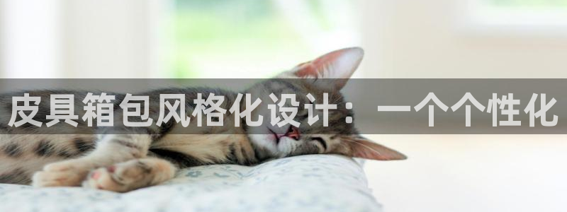 必一体育app官方下载入口