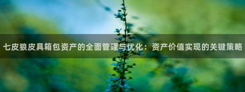 必一体育怎么下载