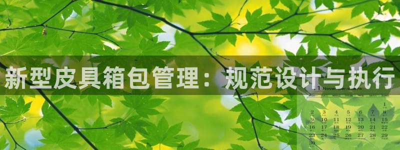 必一体育下载意思