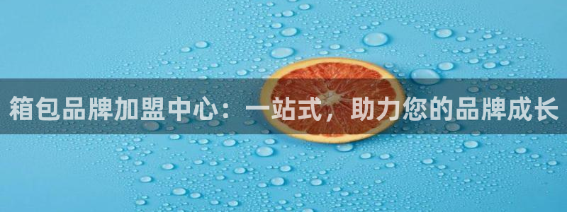 必一体育手机下载