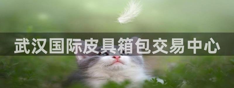 必一体育黑平台