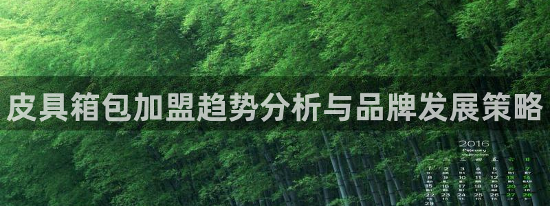 必一体育app官方