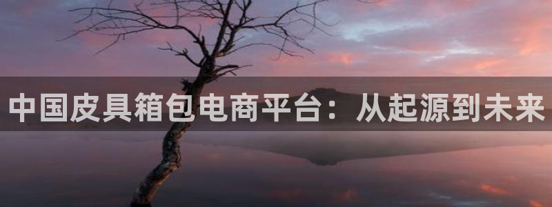 必一运动体育官网下载