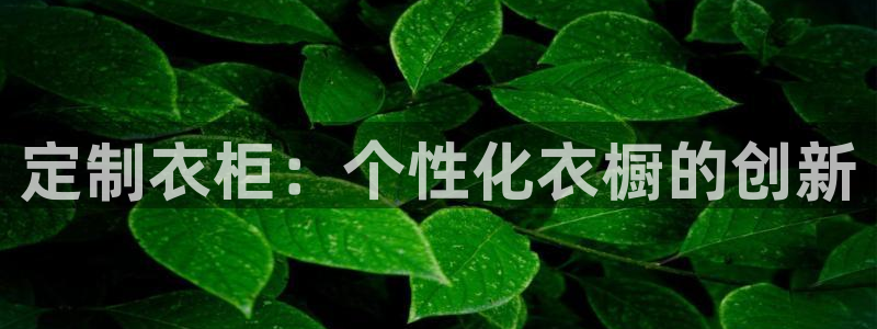 必一体育全站在线登录入口