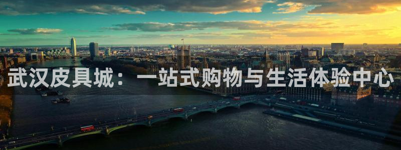 必一体育网页登录版官网