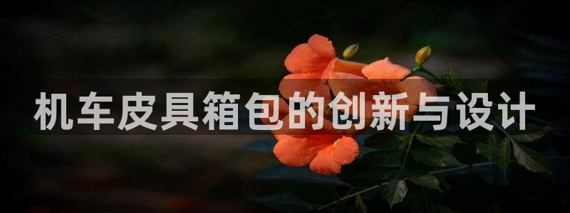 必一体育sport下载