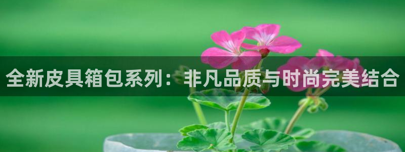 必一体育登录入口
