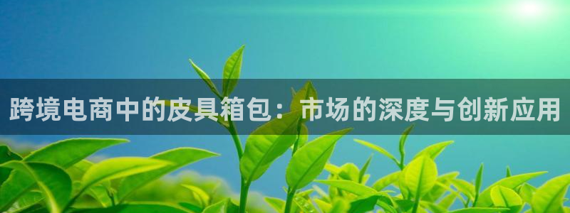 必一体育能提现大金额吗