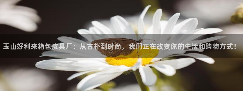 必一体育官方下载入口