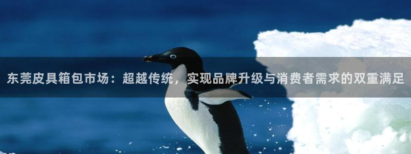 必一体育sportB体育