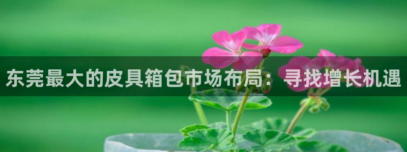 Bsport体育app必一