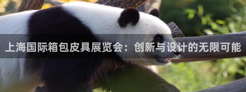 必一体育app平台下载