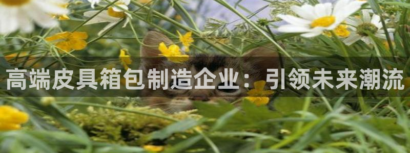 必一体育在线下载