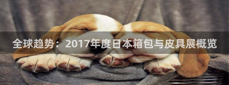 必一体育是哪里的台子