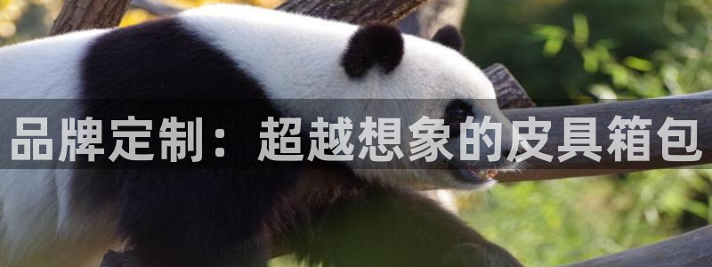 必一体育运动下载