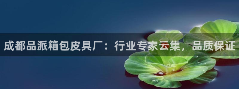 必一体育没了