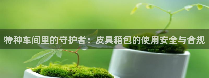 必一运动体