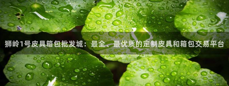 必一体育登录