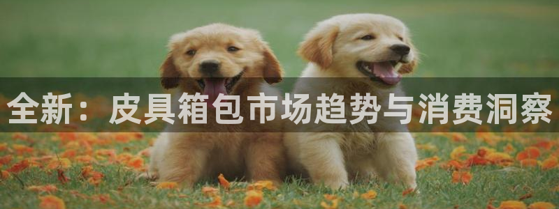 必一体育app下载安装