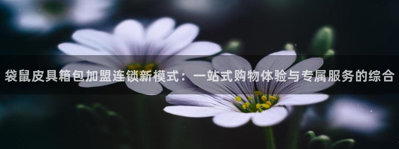 Bsport体育必一