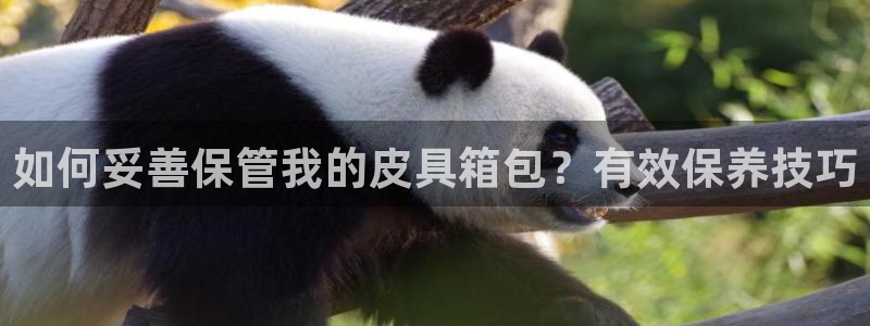 必一运动官网入口