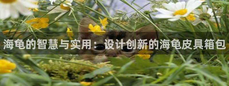 必一体育周公
