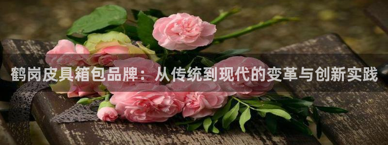 必一体育bsport下载