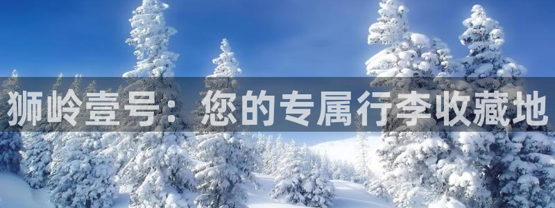 必一体育下载一样吗