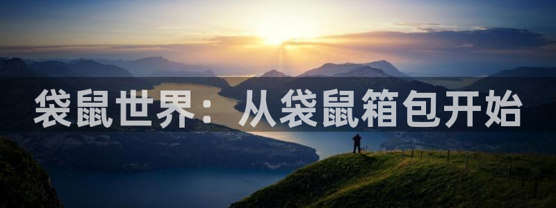 必一体育网页登录版官网