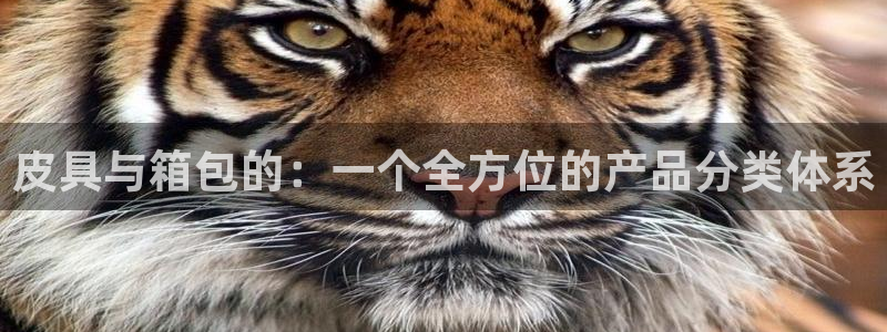 必一体育在线入口