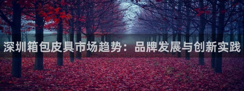 必一体育在线入口