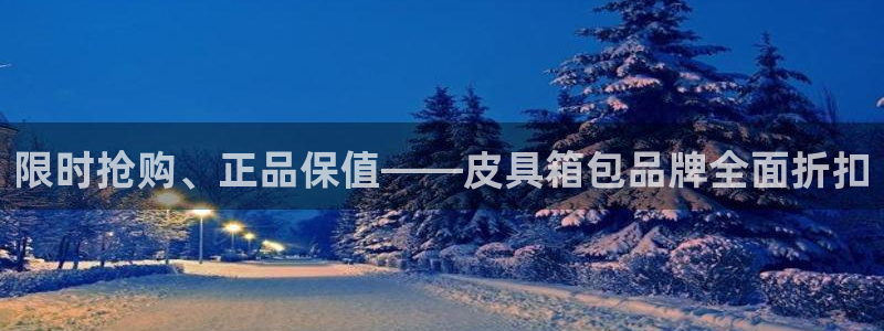 必一体育网页登录版官网