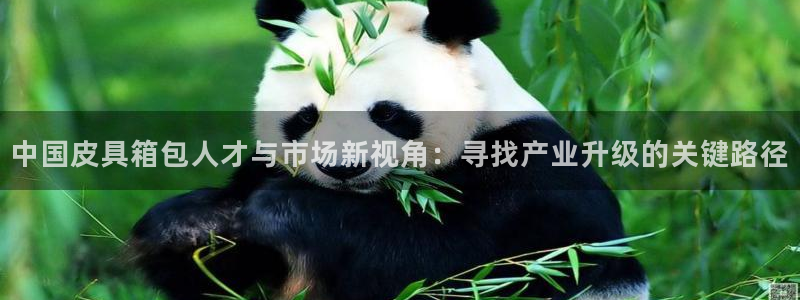 必一体育下载入口