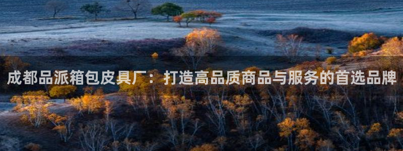 必一体育sport网页版