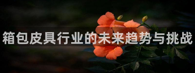 必一体育sport下载