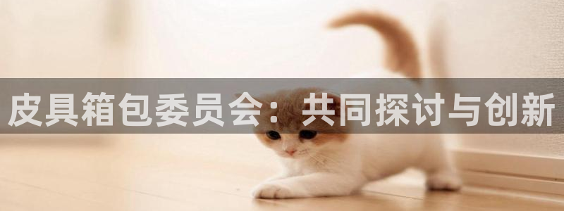 必一体育运动app下载