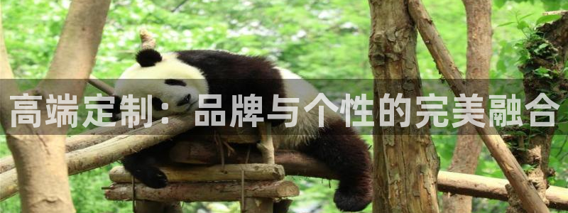 必一体育sport官网