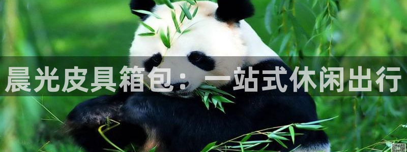 必一体育网页版登录