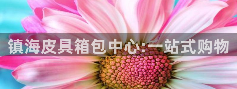 必一运动 b 体育素描版