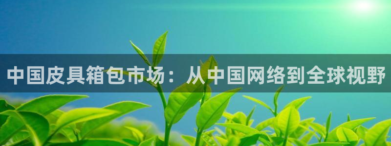 必一体育官网app