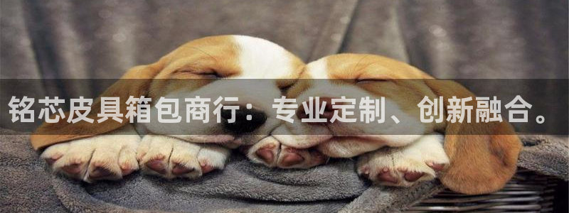 必一体育黑平台