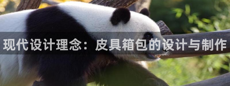 必一体育下载一样吗