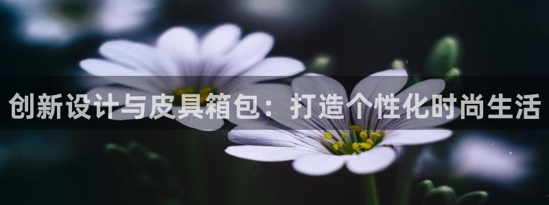 必一运动体育app