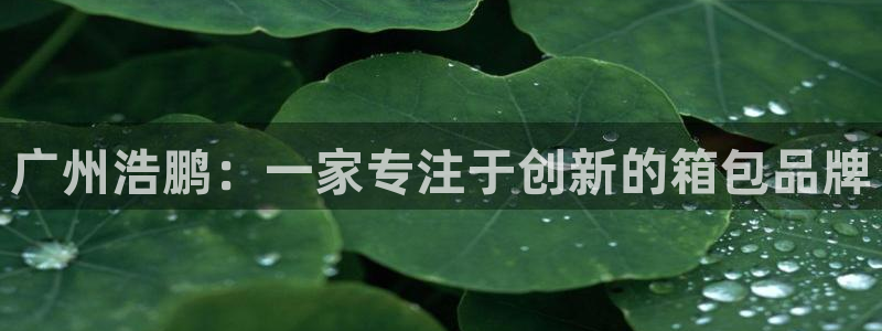 必一体育在线登录