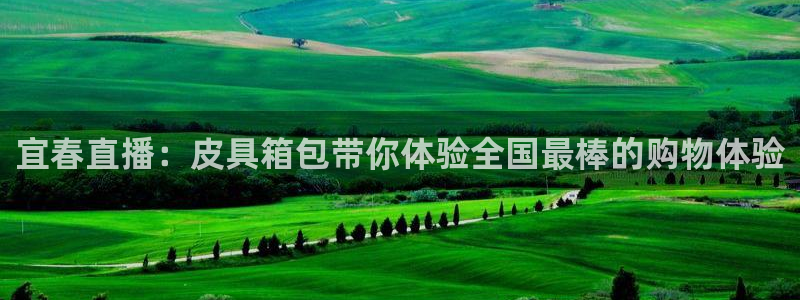 必一体育网页登录版官网