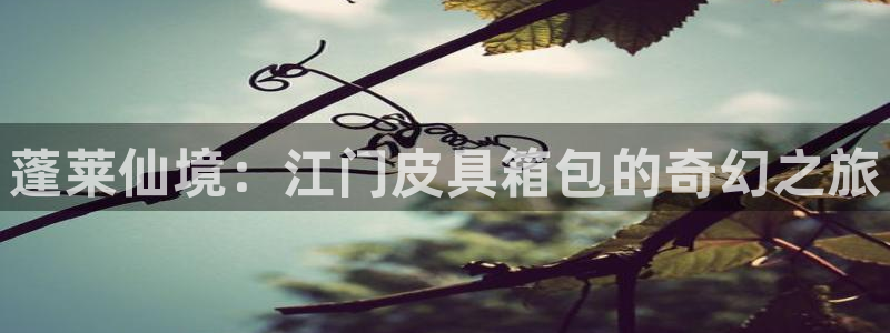 必一体育下载入口