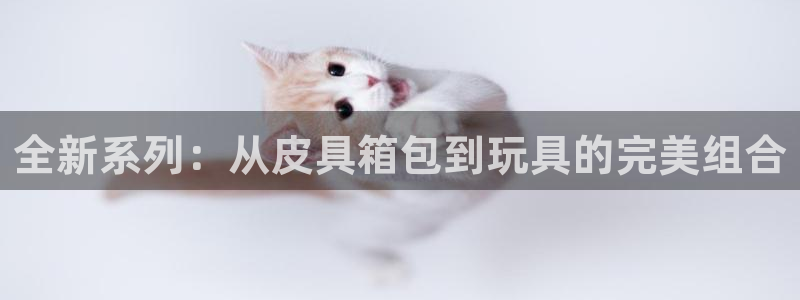 必一体育在线登陆