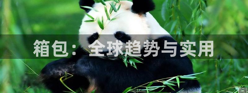 必一体育登录APP下载