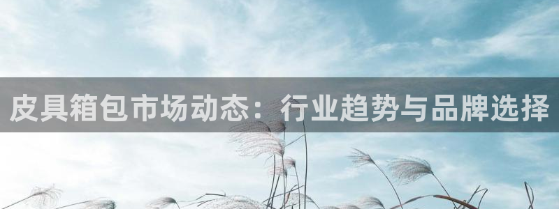 必一体育app下载装机吧