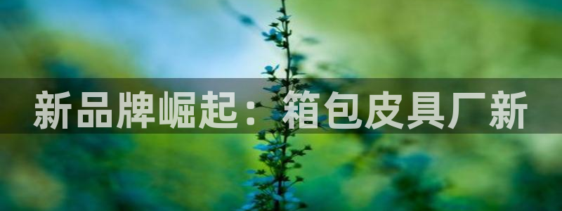 必一体育在线下载